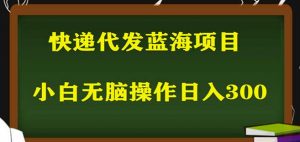 2023最新蓝海快递代发项目，小白零成本照抄也能日入300+-升阶有道