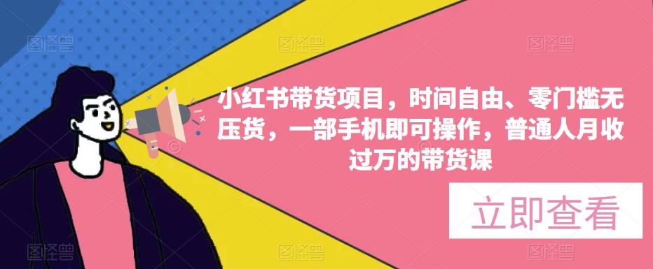 小红书带货项目，时间自由、零门槛无压货，一部手机即可操作，普通人月收过万的带货课-升阶有道
