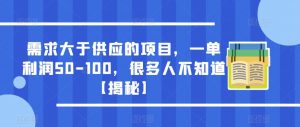 需求大于供应的项目,一单利润50-100,很多人不知道【揭秘】-升阶有道