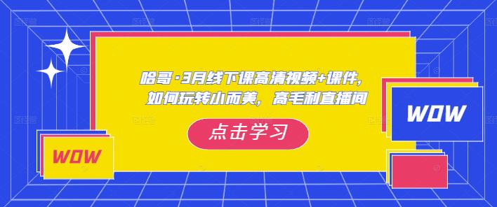 哈哥·3月线下实操课高清视频+课件，如何玩转小而美，高毛利直播间-升阶有道