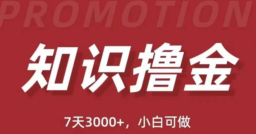 抖音知识撸金项目：简单粗暴日入1000+执行力强当天见收益(教程+资料)-升阶有道