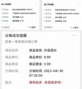 快递代发CPS,月入万元,不起眼却很赚钱的信息差项目【揭秘】-升阶有道
