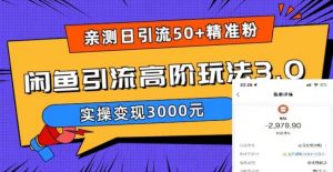 亲测日引50+精准粉，闲鱼引流高阶玩法3.0，实操变现3000元【揭秘】-升阶有道