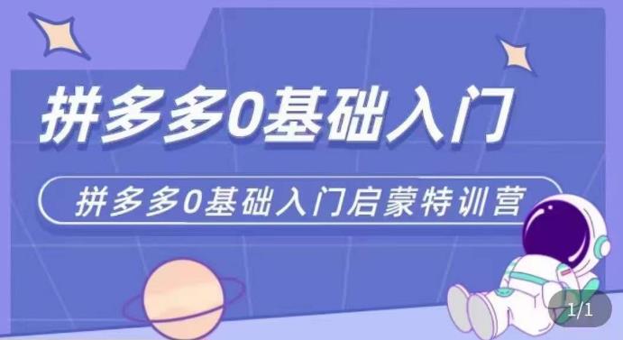 拼多多运营0-1实操特训营，拼多多0基础入门，从基础到进阶的可实操玩法-升阶有道