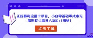 正规暴利流量卡项目，小白零基础零成本无脑照抄也能日入300+【揭秘】-升阶有道
