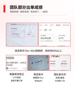 2023小红书电商火爆全网，新晋红利，风口项目，单店收益在3000-30000！-升阶有道