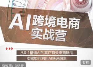 白龙老师·AI跨境电商实战营:从0-1精通Al的真正有效电商玩法,卖家如何利用Al快速超车-升阶有道