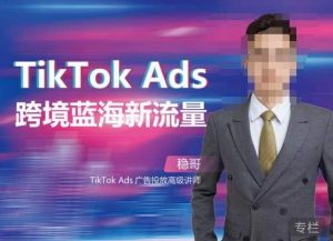 稳哥·如何投出高ROI的TikTok广告,开拓独立站卖家流量新蓝海-升阶有道