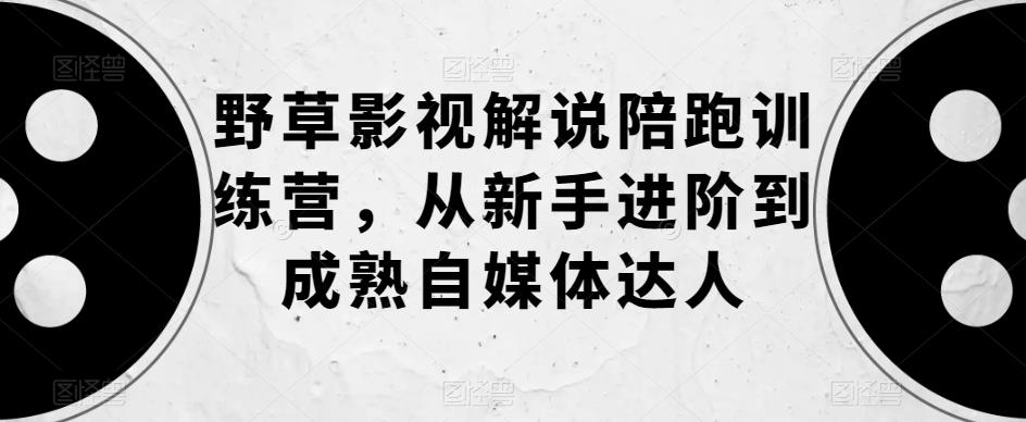 野草影视解说陪跑训练营，从新手进阶到成熟自媒体达人-升阶有道