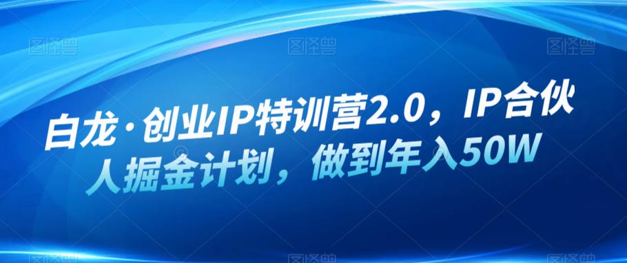 白龙·创业IP特训营2.0，IP合伙人掘金计划，做到年入50W-升阶有道