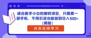 适合新手小白的搬砖项目，只需要一部手机、不用引流也能做到日入300+【揭秘】-升阶有道