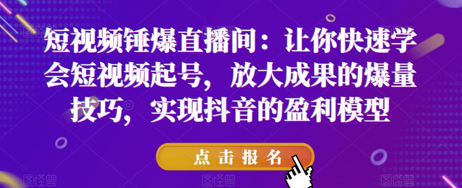 短视频锤爆直播间：让你快速学会短视频起号，放大成果的爆量技巧，实现抖音的盈利模型-升阶有道