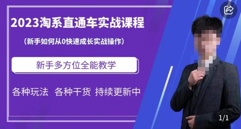 2023淘系直通车保姆式运营讲解，新手如何从0快速成长实战操作，新手多方位全能教学-升阶有道