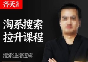 齐天电商·淘系搜索提升课程，​搜索递增标准化，动销标准化流程-升阶有道