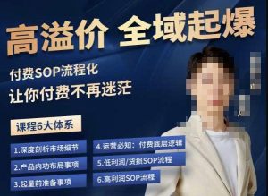 逸风-拼多多高溢价全域起爆,6大课程体系,付费玩法全套实操-升阶有道