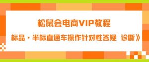 松鼠会电商VIP教程：松鼠《付费推广标品·半标直通车操作针对性答疑&诊断》-升阶有道
