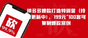 拼多多爆款打造特训营(持续更新中),199元*100套可复制爆款案例-升阶有道