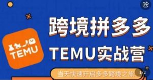 大鹏出海·拼多多跨境temu运营指导,开店注册+选品+核价上架,日出千单实战课-升阶有道