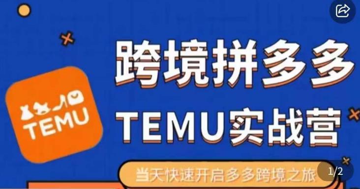 大鹏出海·拼多多跨境temu运营指导，开店注册+选品+核价上架，日出千单实战课-升阶有道