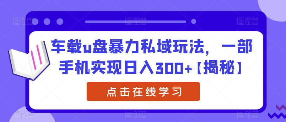 车载u盘暴力私域玩法，一部手机实现日入300+【揭秘】-升阶有道