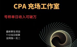 cpa充场工作室，号称单日收入10000+（揭秘）-升阶有道