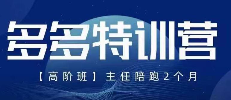 纪主任·5月最新多多特训营高阶班，玩法落地实操，多多全掌握-升阶有道