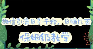 微信互推圈半自动引流方案,矩阵操作日引千人思路【详细视频教程】-升阶有道
