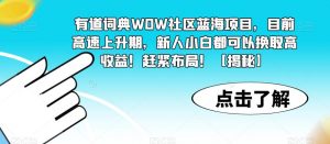 有道词典WOW社区蓝海项目,目前高速上升期,新人小白都可以换取高收益!赶紧布局!【揭秘】-升阶有道