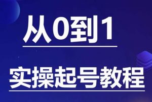 石野·小白起号实操教程，​掌握各种起号的玩法技术，了解流量的核心-升阶有道