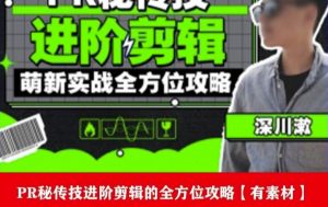 PR进阶剪辑培训班,让你快速成为剪辑大师12节视频课程+素材!-升阶有道