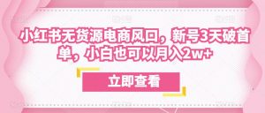 众狼电商余文小红书无货源电商风口,新号3天破首单,小白也可以月入2w+-升阶有道