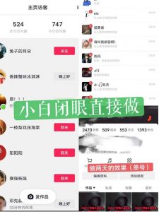 一天做完别一辈子的视频制作最近很火的《1000个野路子信息差》100%过原创【揭秘】-升阶有道