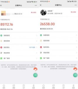 闲鱼流量掘金-虚拟变现新玩法配合全网项目库，精准引流变现3W+-升阶有道