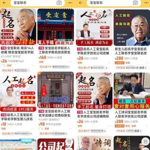 拆解小红书宝宝起名虚拟副业项目,一条龙实操玩法分享给你(教程+软件)-升阶有道