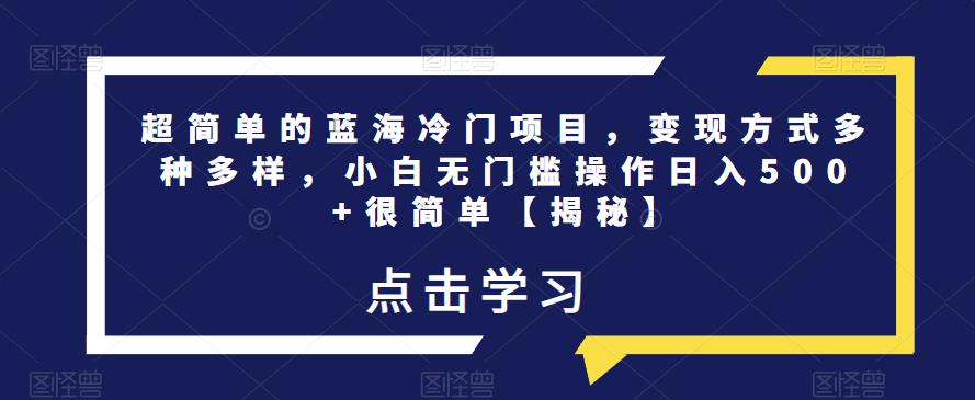 超简单的蓝海冷门项目，变现方式多种多样，小白无门槛操作日入500+很简单【揭秘】-升阶有道