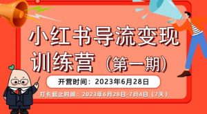 【推荐】小红书导流变现营,公域导私域,适用多数平台,一线实操实战团队总结,真正实战,全是细节!-升阶有道