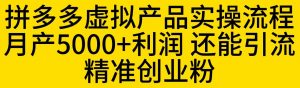拼多多虚拟产品实操流程，月产5000+利润，还能引流精准创业粉【揭秘】-升阶有道