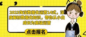 2023淘宝数据化运营14式，深度解析数据化知识，帮你从小白成长为高级运营-升阶有道