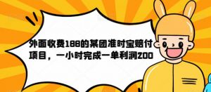 外面收费188的美团准时宝赔付项目，一小时完成一单利润200【仅揭秘】-升阶有道