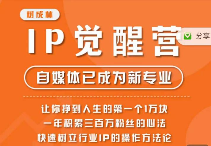 树成林·IP觉醒营，快速树立行业IP的操作方法论，让你赚到人生的第一个1万块（更新）-升阶有道