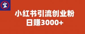 宝哥小红书引流创业粉,日赚3000+【揭秘】-升阶有道