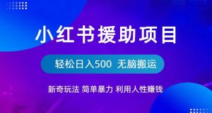 小红书援助项目新奇玩法，简单暴力，无脑搬运轻松日入500【揭秘】-升阶有道