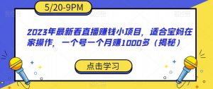 2023年最新看直播赚钱小项目，适合宝妈在家操作，一个号一个月赚1000多（揭秘）-升阶有道