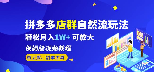拼多多店群自然流玩法，轻松月入1W+保姆级视频教程（附上货、拍单工具）-升阶有道