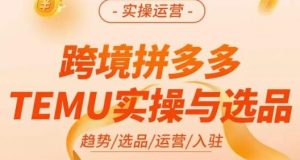 伍跃·跨境拼多多TEMU实操与选品,趋势/选品/运营/入住(27节完整)-升阶有道