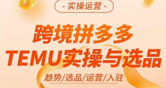 伍跃·跨境拼多多TEMU实操与选品，​趋势/选品/运营/入住（27节完整）-升阶有道