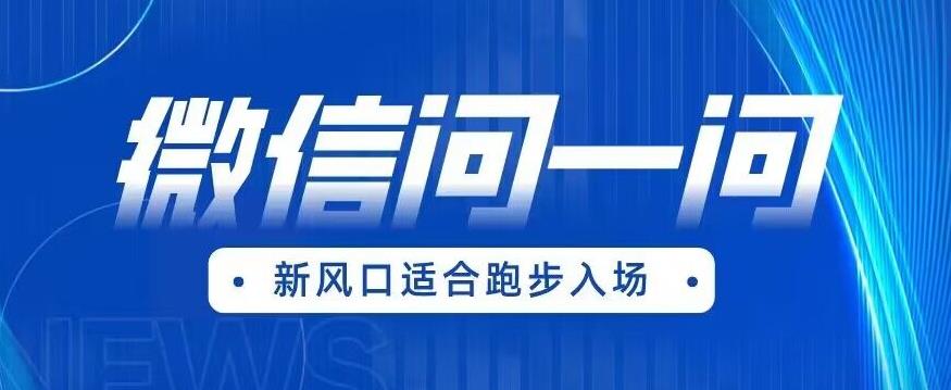 全网首发微信问一问新风口变现项目（价值1999元）【揭秘】-升阶有道