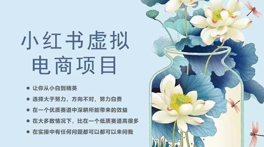 小红书虚拟电商从0到1，让你从小白到精英（20节实操课程）-升阶有道