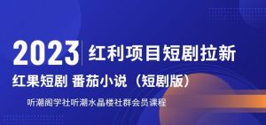 2023红利项目短剧拉新,听潮阁学社月入过万红果短剧番茄小说CPA拉新项目教程【揭秘】-升阶有道