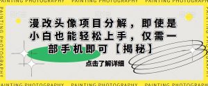 漫改头像项目分解，即使是小白也能轻松上手，仅需一部手机即可【揭秘】-升阶有道
